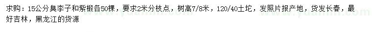 求購15公分臭李子、紫椴