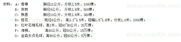 求購香樟、欒樹、楓香等