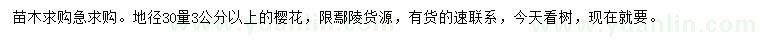 求購地徑30量3公分以上櫻花