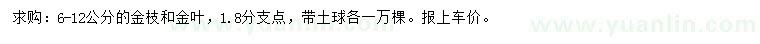求購6-12公分金枝、金葉