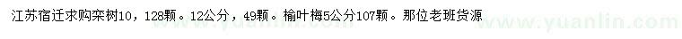 求購10、12公分欒樹、5公分榆葉梅