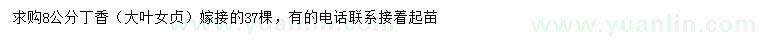 求購8公分丁香、大葉女貞