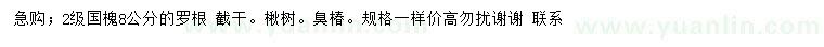 求購8公分國槐