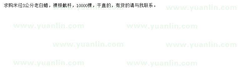 求購米徑3公分老白蠟
