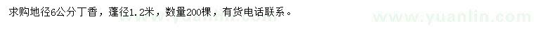 求購地徑6公分丁香