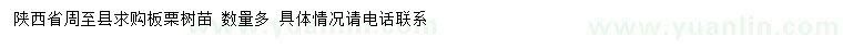 求購板栗樹苗