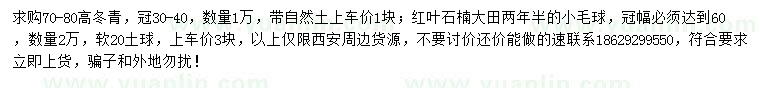 求購求購冬青，紅葉石楠毛球