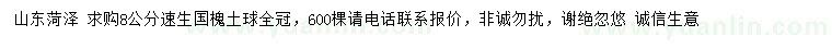 求購(gòu)8公分速生國(guó)槐