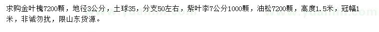 求購金葉槐、紫葉李、油松
