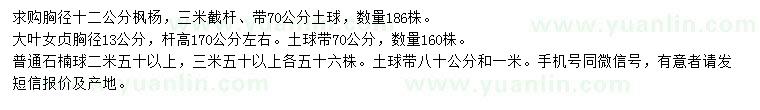 求購楓楊、大葉女貞、石楠球