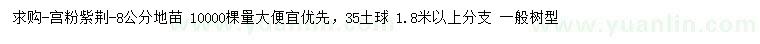 求購8公分宮粉紫荊