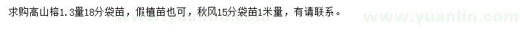 求購1.3米量18公分高山榕、1米量15公分秋楓