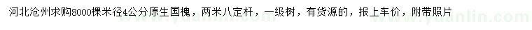求購米徑4公分國槐