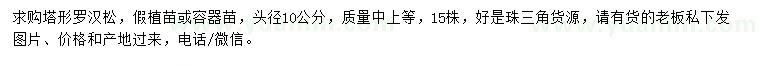 求購(gòu)頭徑10公分塔形羅漢松