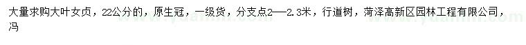 求購22公分大葉女貞