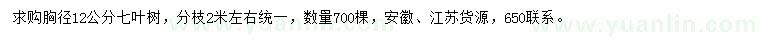 求購胸徑12公分七葉樹
