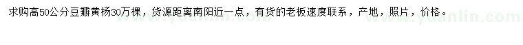 求購高50公分豆瓣黃楊