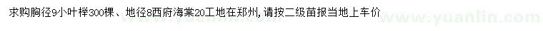 求購胸徑9公分小葉櫸、地徑8公分西府海棠