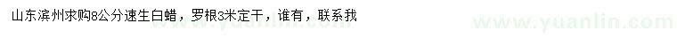 求購(gòu)8公分速生白蠟