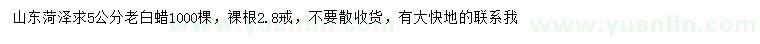 求購(gòu)5公分老白蠟