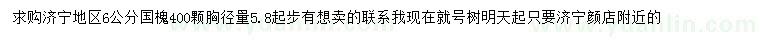 求購6公分國槐