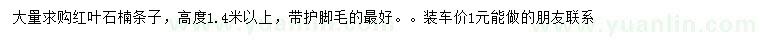 求購高1.4米以上紅葉石楠條子