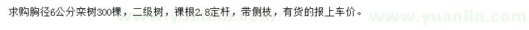 求購胸徑6公分欒樹