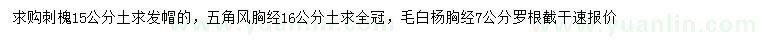 求購(gòu)15公分刺槐