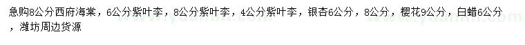 求購西府海棠、紫葉李、銀杏等