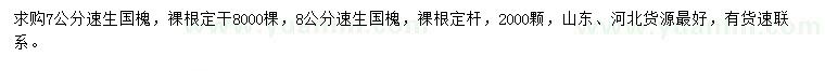 求購7、8公分速生國槐