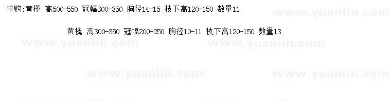 求購(gòu)高500-550公分黃槿、300-350公分黃槐