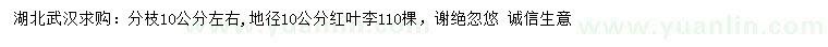 求購地徑10公分紅葉李