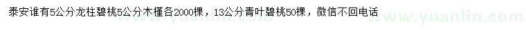 求購5公分龍柱碧桃、木槿