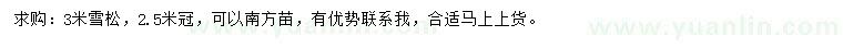 求購3米雪松