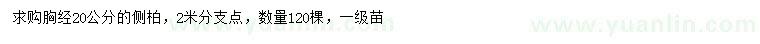 求購(gòu)胸經(jīng)20公分側(cè)柏