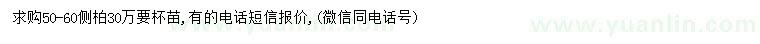 求購(gòu)30-40公分側(cè)柏