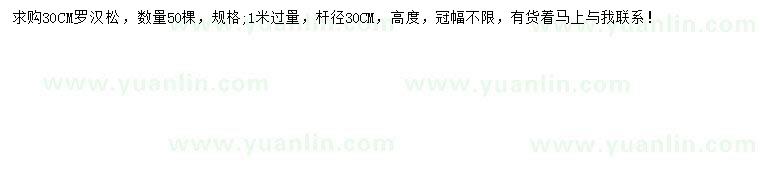 求購1米過量30公分羅漢松