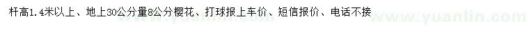 求購地上30量8公分櫻花