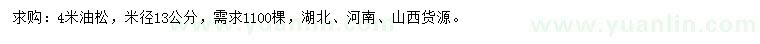 求購米徑13公分油松