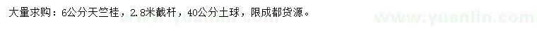 求購6公分天竺桂