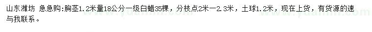 求購(gòu)胸徑1.2米量18公分白蠟