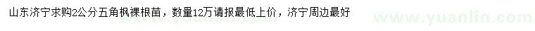 求購2公分五角楓