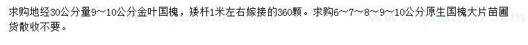 求購(gòu)地徑30公分量9-10公分金葉國(guó)槐、6、7、8、9、10公分國(guó)槐