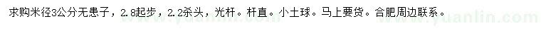 求購米徑3公分無患子