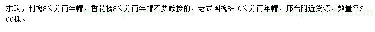 求購刺槐、香花槐、老式國槐