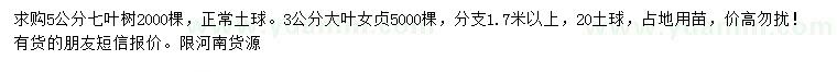 求購3、5公分七葉樹