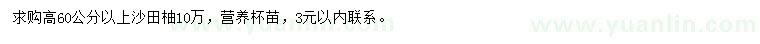 求購(gòu)高60公分以上沙田柚