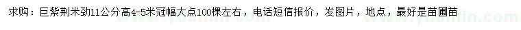 求購米徑11公分巨紫荊