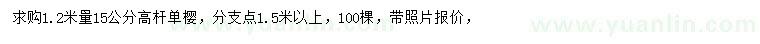 求購1.2米量15公分高桿單櫻