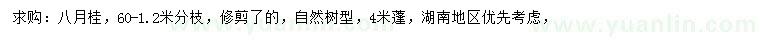 求購(gòu)蓬4米八月桂